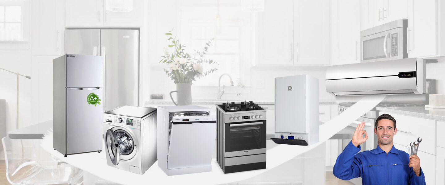 Pamukova Electrolux Servisi